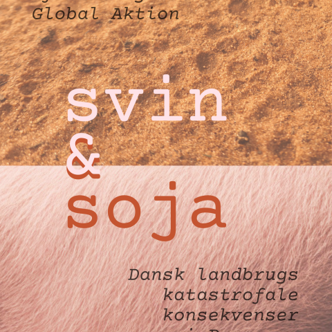 svin og soja