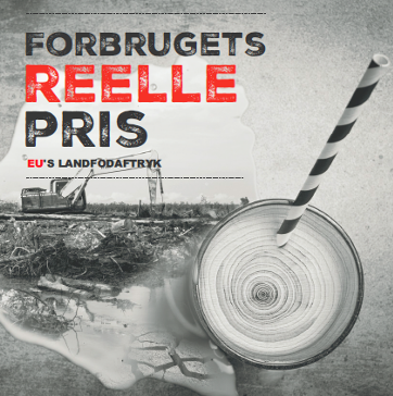 Forside til Forbrugets reelle pris