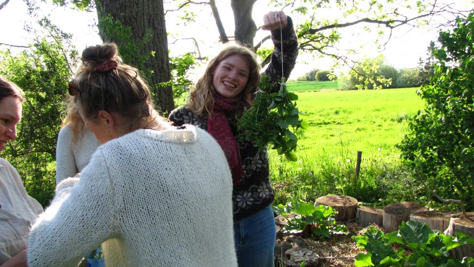 Biodiversitet i gymnasierne