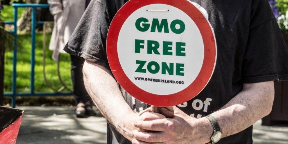 no gmo