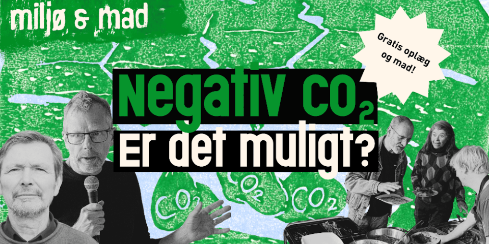 Negativ CO2! Er det muligt?