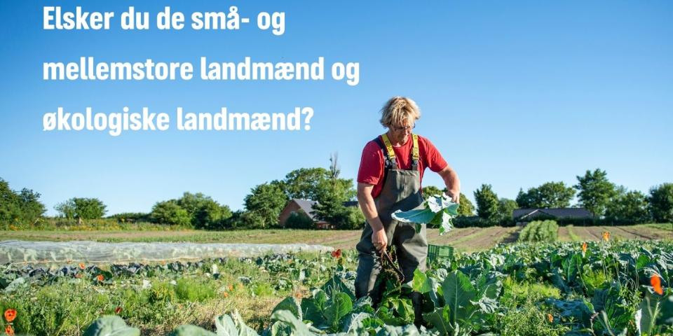 Forbrugere, landmænd og den økologiske GMO-fri sektor er taberne